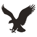 American Eagle AU coupons
